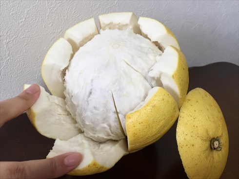 ご当地めし晩白柚