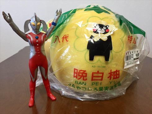 ご当地めし晩白柚