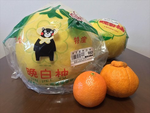 ご当地めし晩白柚