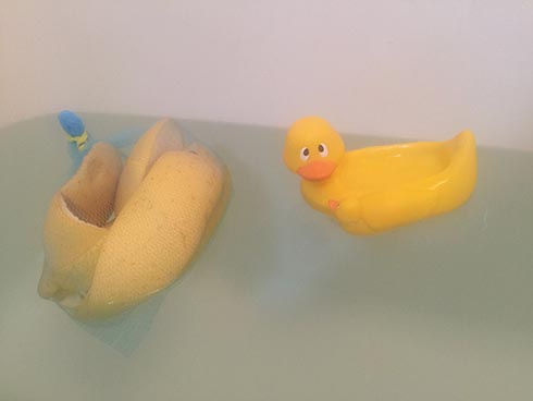 ご当地めし晩白柚