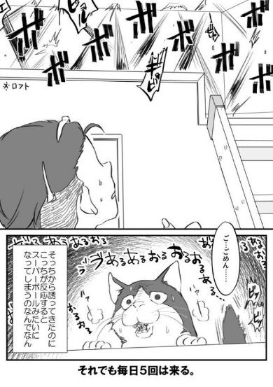 猫 ビビリ スーパーボール 漫画