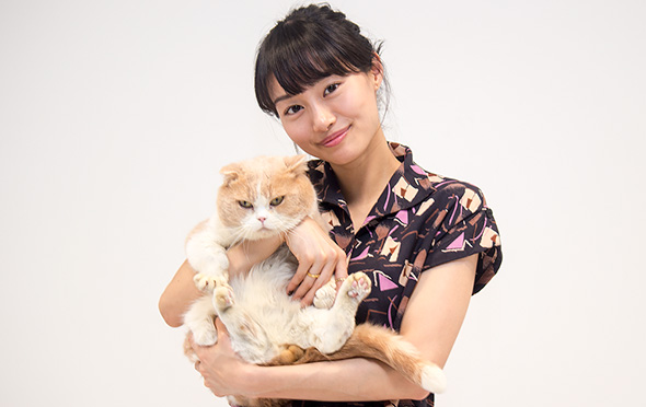 「ねこあつめの家」忽那汐里さん
