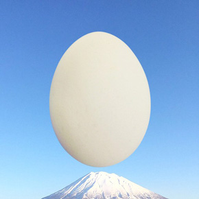 卵型アイコン