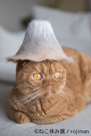 ねこ休み展