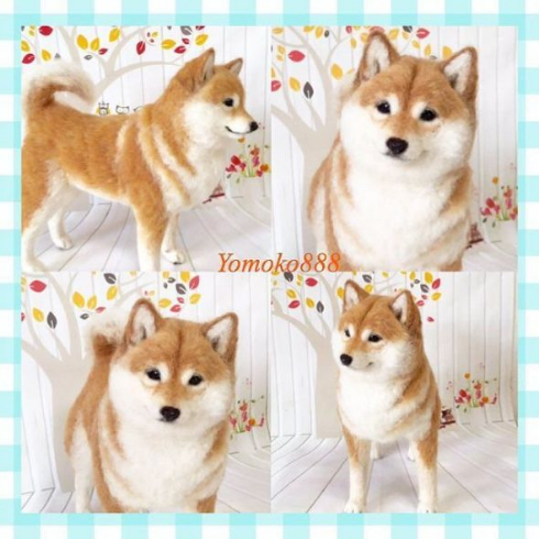 羊毛フェルト 柴犬 リアル わんこ