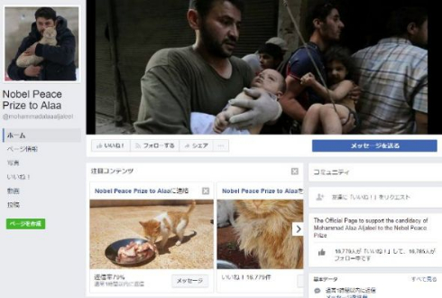 シリア アレッポ 猫 犬 救助 ノーベル平和賞