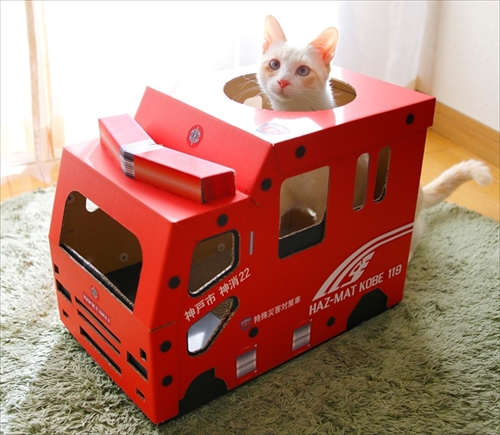 猫さんのつめとぎ付き消防車