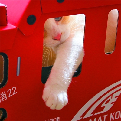 猫さんのつめとぎ付き消防車