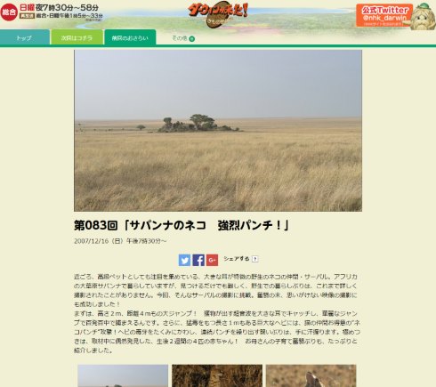 ダーウィンが来た 再放送 サーバルキャット けものフレンズ