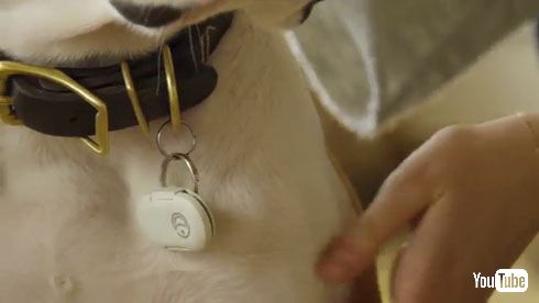 モーションセンサー