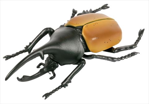 ヘラクレスオオカブト