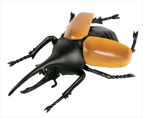 ヘラクレスオオカブト