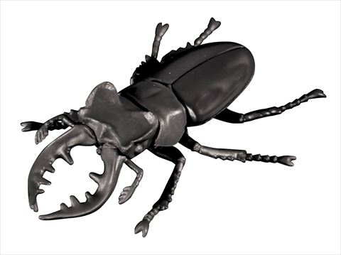 ミヤマクワガタ