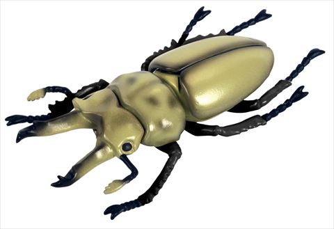 オウゴンオニクワガタ