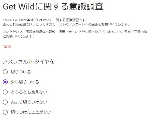 get wild 小室哲哉 アンケート 意識調査