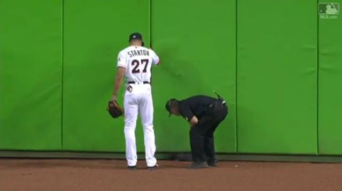 猫 メジャーリーグ 乱入 マイアミ マーリンズ