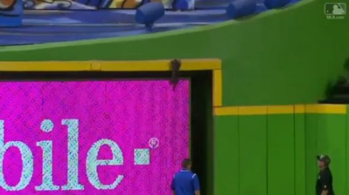 猫 メジャーリーグ 乱入 マイアミ マーリンズ
