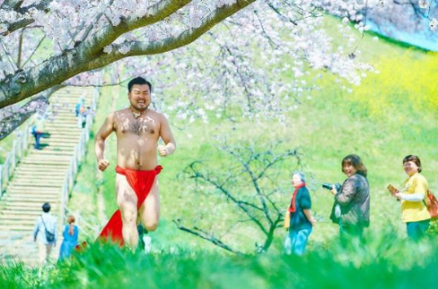 ふんどし 写真 桜 躍動感 ダンサー