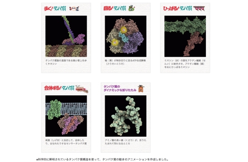 タンパク室ポスター
