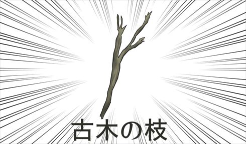 やしろあずきの調査