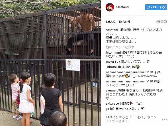 武井壮　動物園