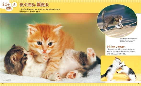 なぜ？の図鑑　ネコ