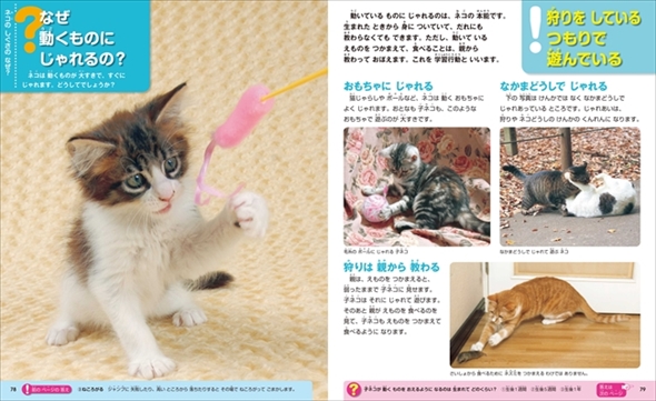 なぜ？の図鑑　ネコ