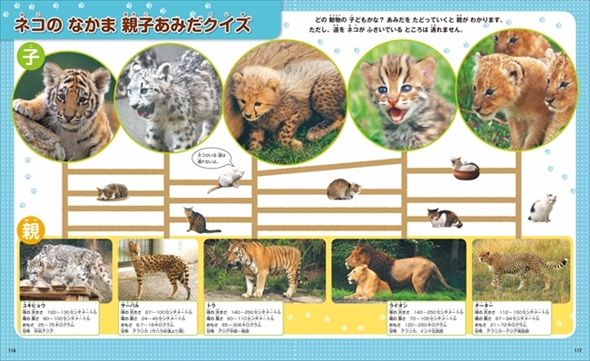なぜ？の図鑑　ネコ