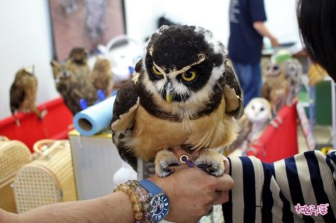 レプタイルワールド