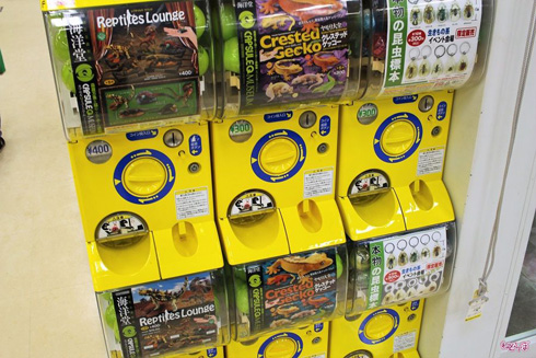 レプタイルワールド