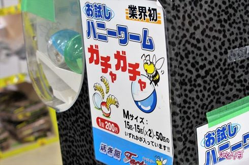 レプタイルワールド