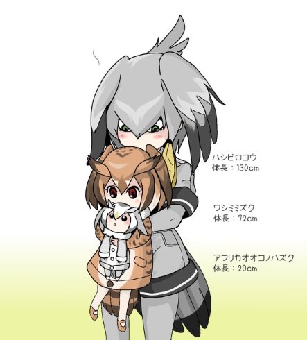 けものフレンズ 大きさ 身長