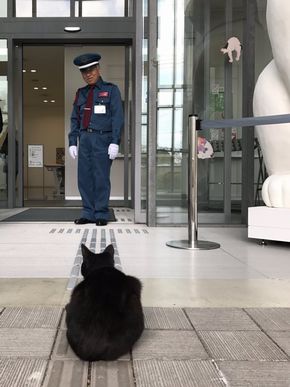 尾道市立美術館　猫　警備員　トートバック