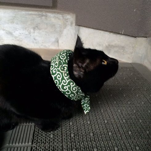 尾道市立美術館　猫　警備員　トートバック