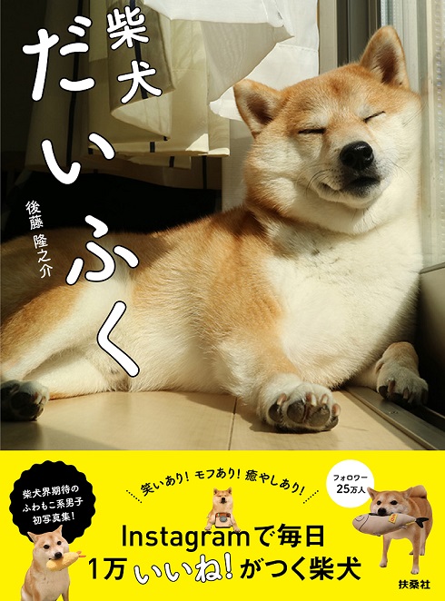 柴犬だいふく