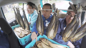 ファブリーズ くさや PR動画 P&G 八丈島