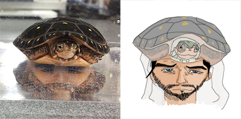 インドのおじさんカメ