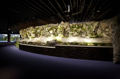 京都水族館オオサンショウウオ