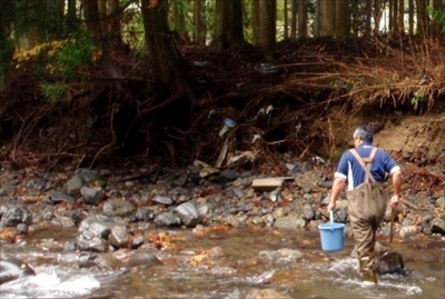 京都水族館オオサンショウウオ