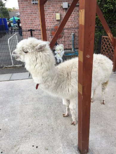 けものフレンズ 東武動物公園 コラボ マレーバク パネル 食べる