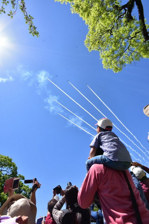 ブルーインパルス