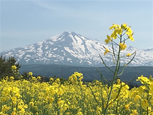 復興大臣不適切発言から一夜、ハッシュタグ「#東北でよかった」に東北の魅力伝えるツイートが続々集まる