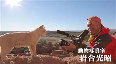 劇場版　世界ネコ歩き