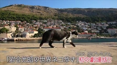 劇場版　世界ネコ歩き