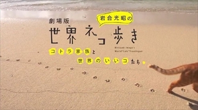 劇場版　世界ネコ歩き
