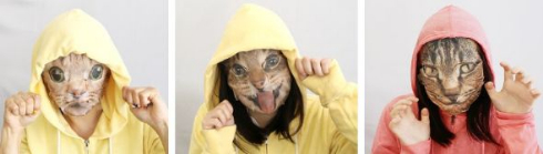 猫 なりきり フェイスパック 実写