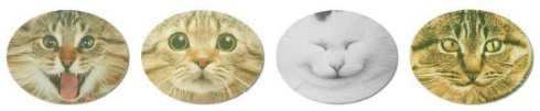 猫 なりきり フェイスパック 実写