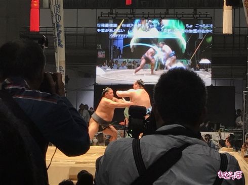 無修正・超リアル「SUMOU」が2年ぶりの解禁　会場では波動や隕石が乱れ飛ぶ