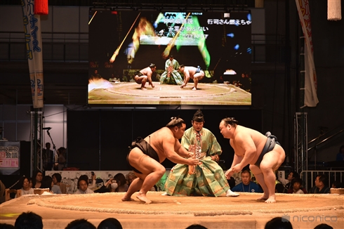 ニコニコ超会議2017：無修正・超リアル「SUMOU」が2年ぶりの降臨