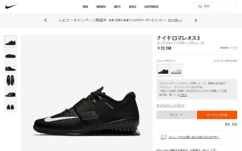 ナイキ 鳩 NIKE 靴 ハト